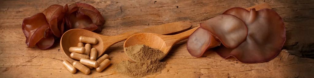 auricularia_judasohr_beitragsbild
